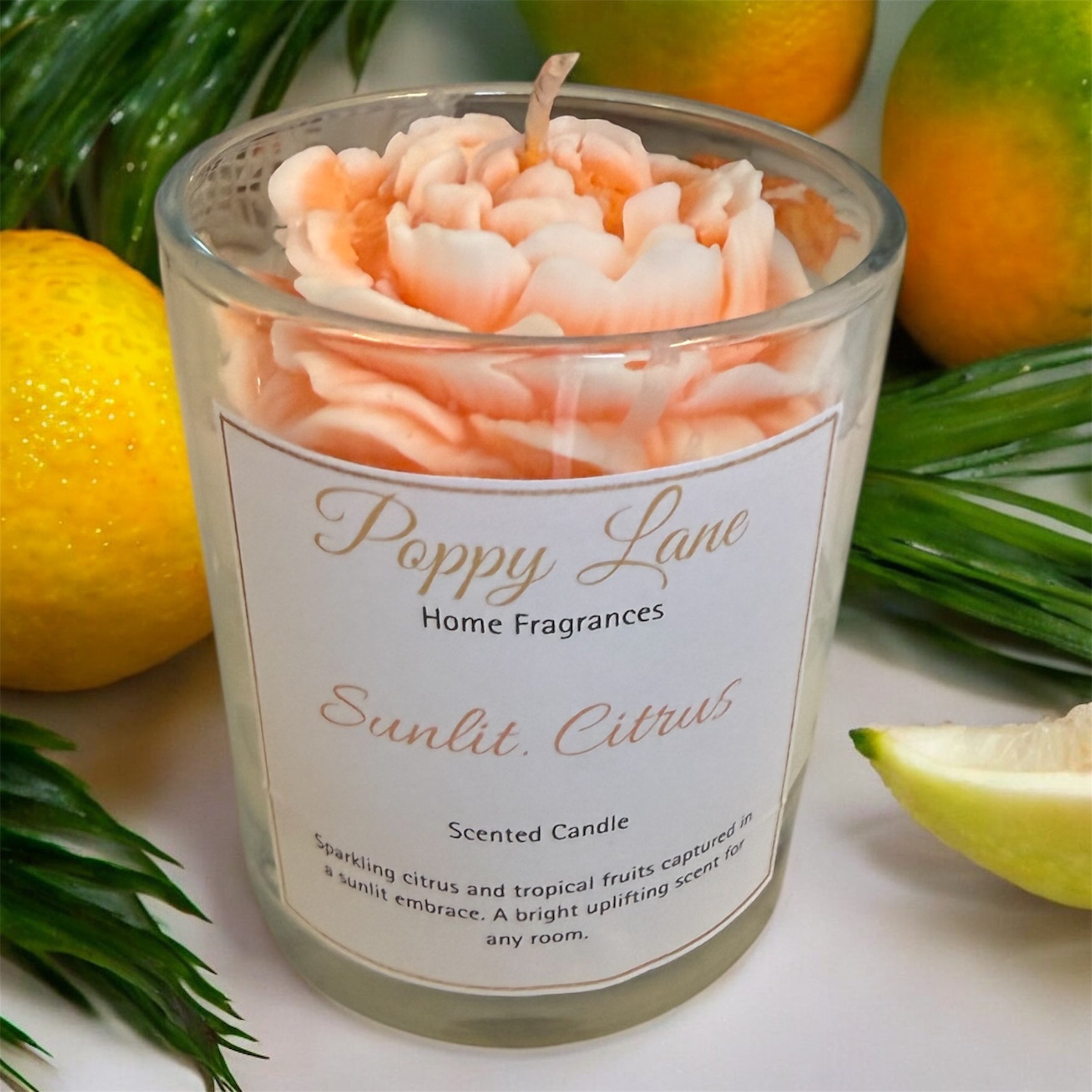 The quiet collection