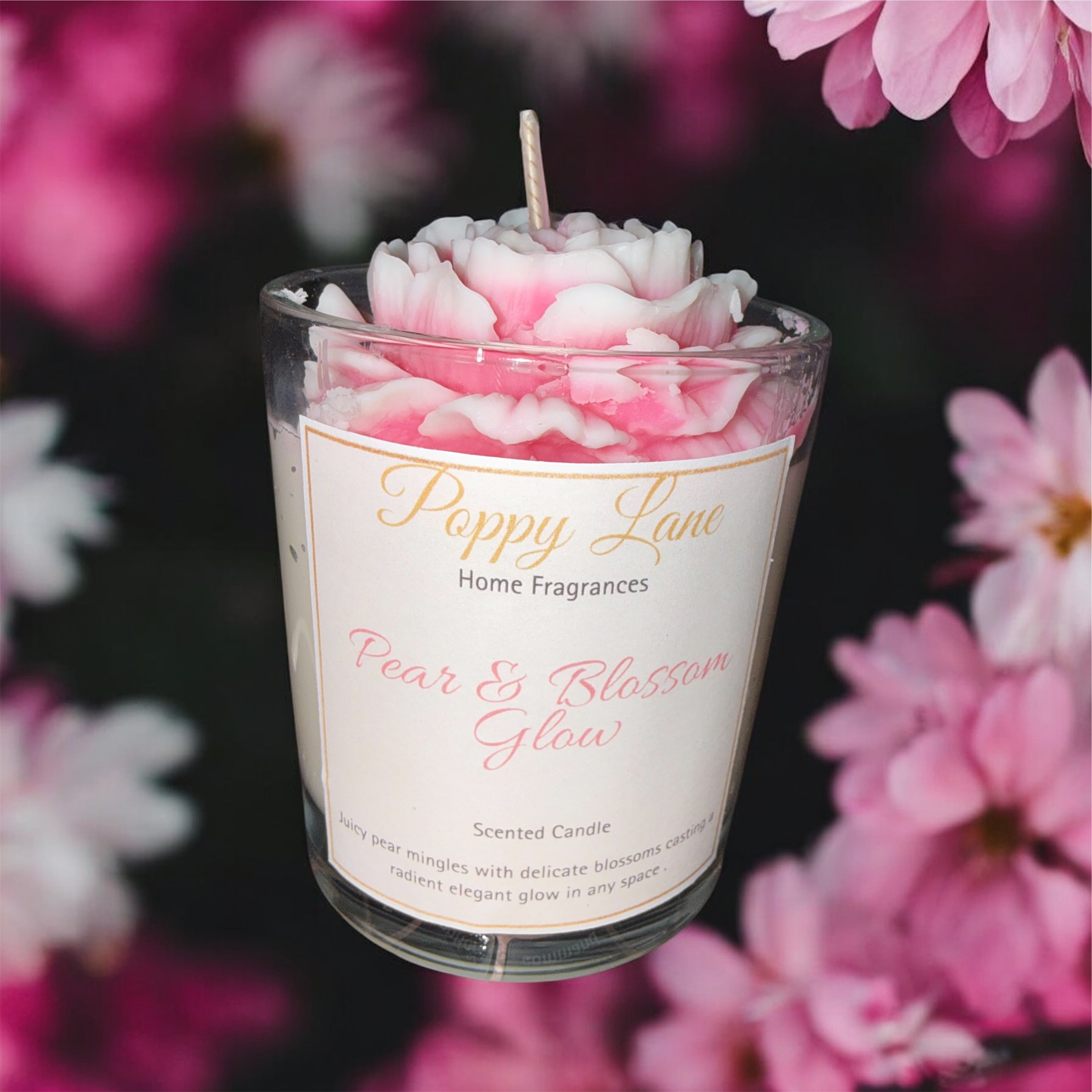 The quiet collection