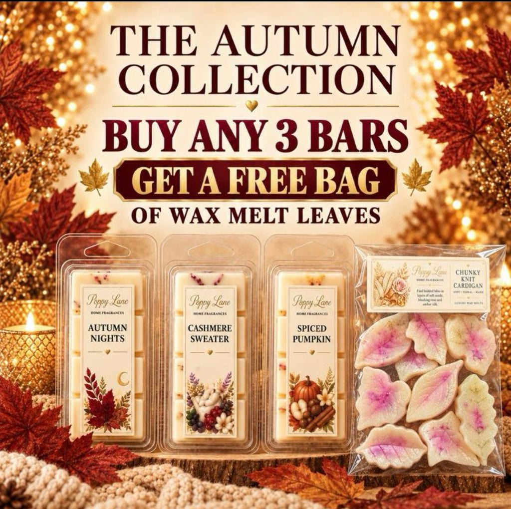 The Autumn Collection