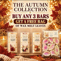 The Autumn Collection